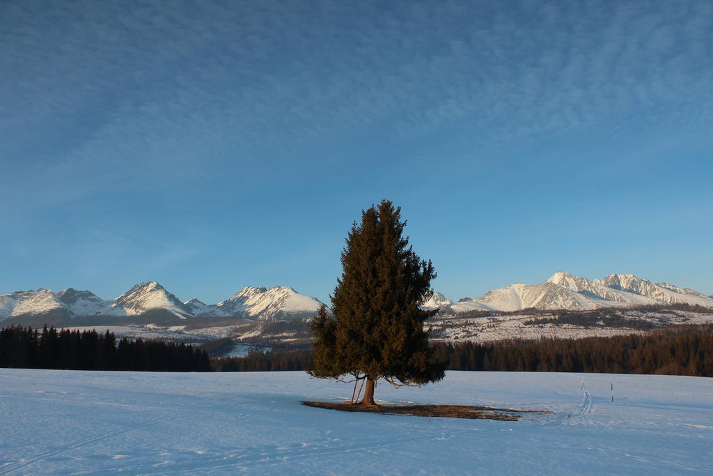 Chaty Tatra Татранська Штрба Екстер'єр фото